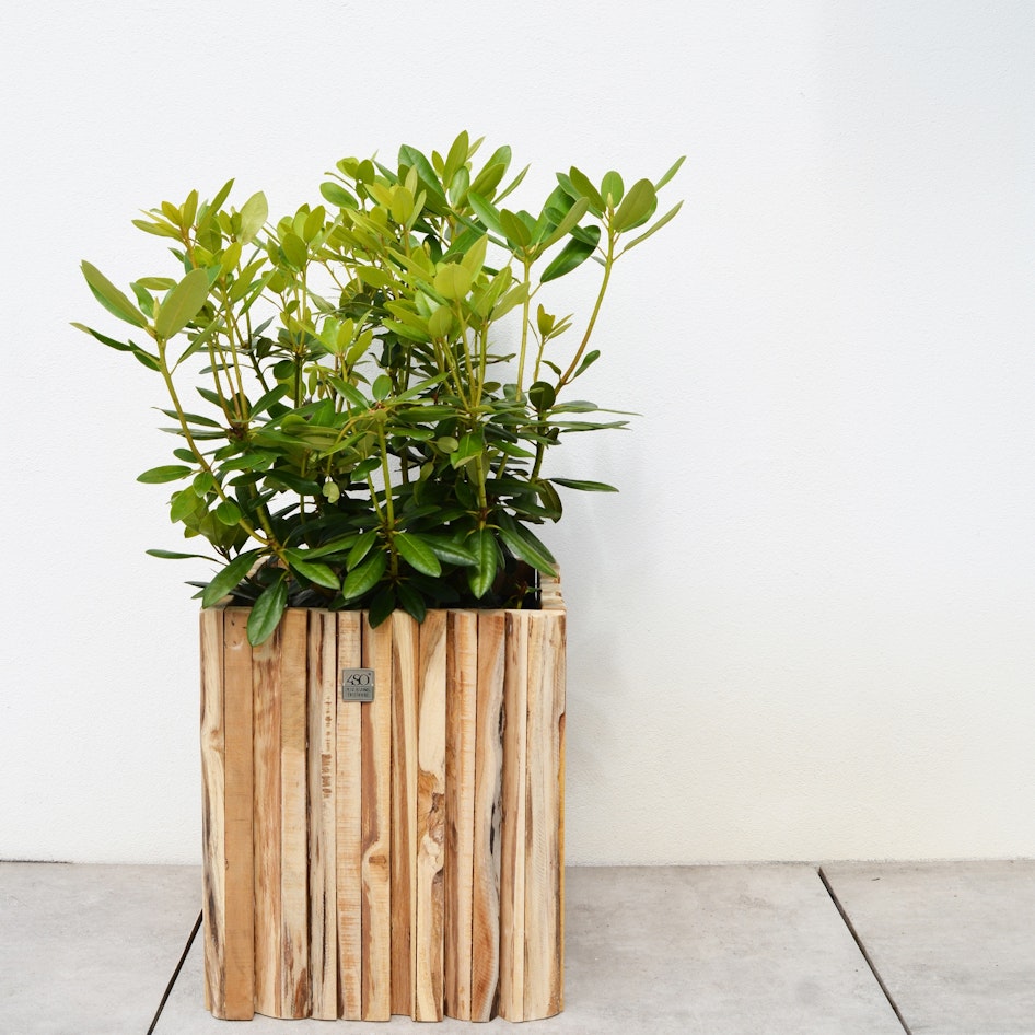 Miguel plantenbak teak 4 seasons outdoor